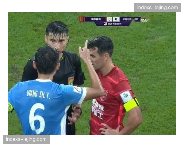 河南队续约六名球员，王国明马亚等主力留队